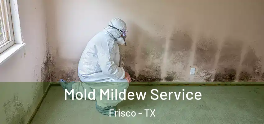  Mold Mildew Service Frisco - TX