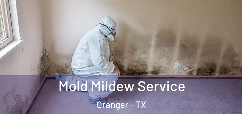  Mold Mildew Service Granger - TX