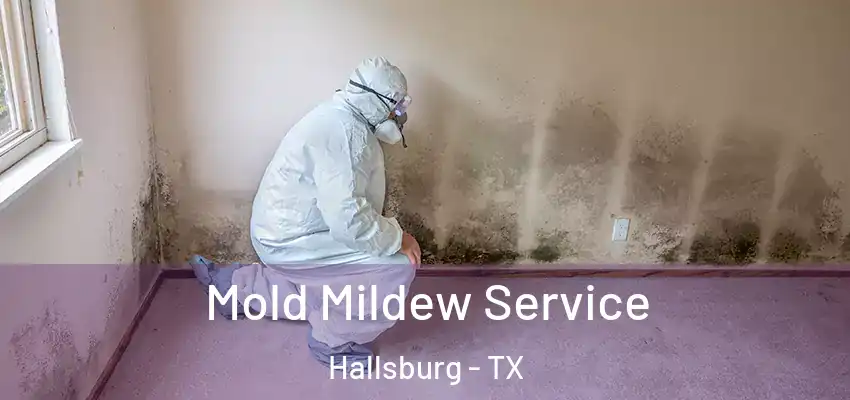  Mold Mildew Service Hallsburg - TX