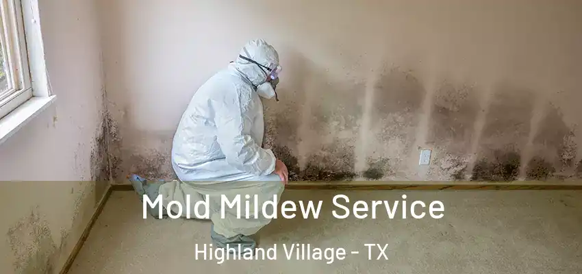 Mold Mildew Service Highland Village - TX