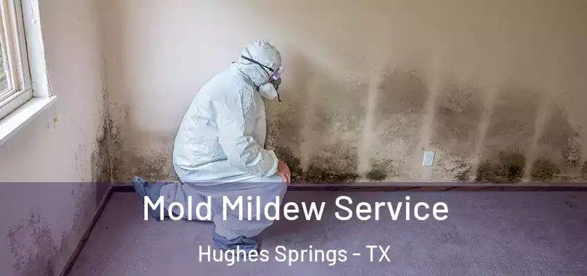  Mold Mildew Service Hughes Springs - TX