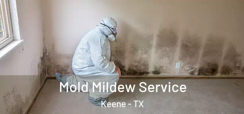  Mold Mildew Service Keene - TX