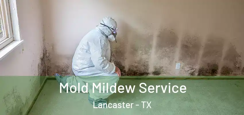 Mold Mildew Service Lancaster - TX