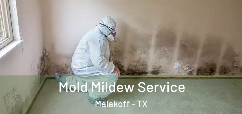 Mold Mildew Service Malakoff - TX