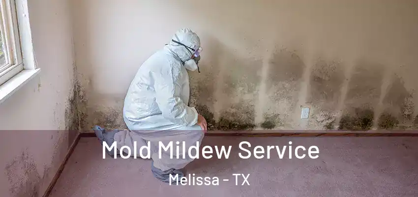 Mold Mildew Service Melissa - TX