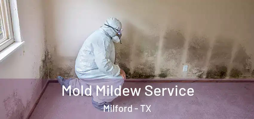 Mold Mildew Service Milford - TX