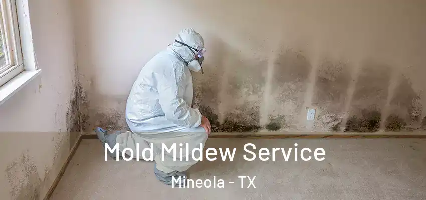 Mold Mildew Service Mineola - TX