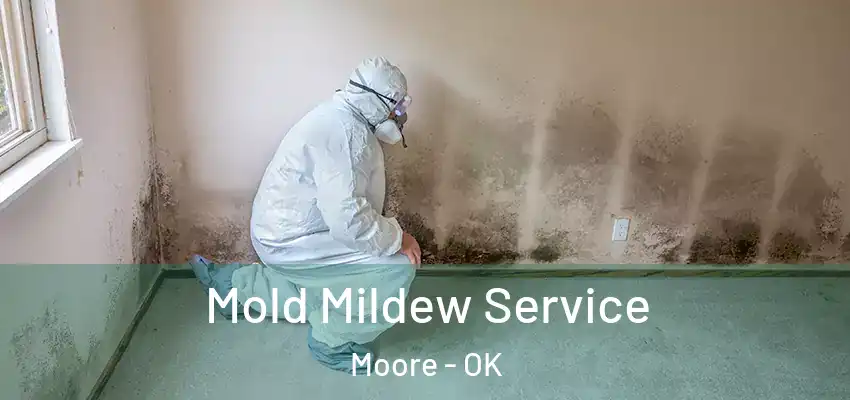 Mold Mildew Service Moore - OK