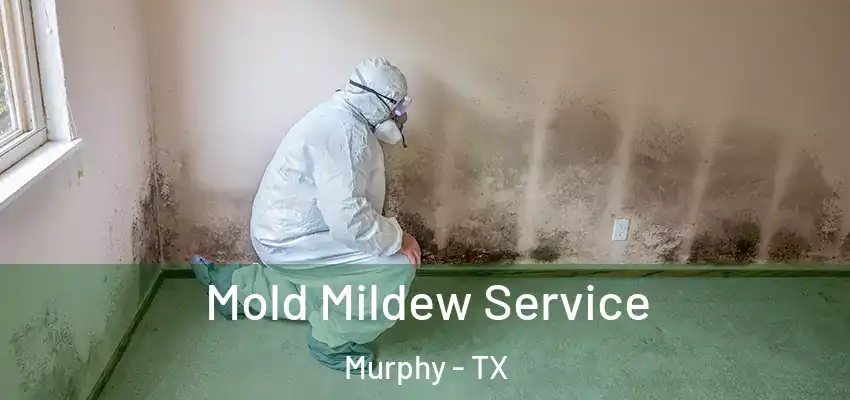  Mold Mildew Service Murphy - TX