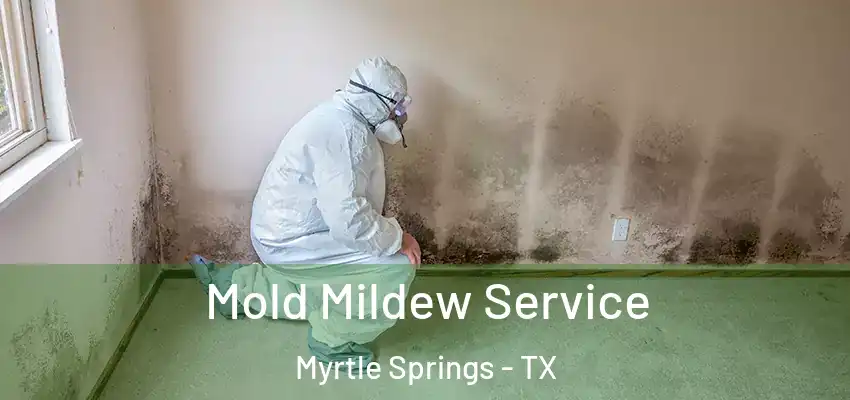  Mold Mildew Service Myrtle Springs - TX
