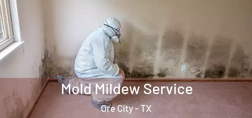  Mold Mildew Service Ore City - TX