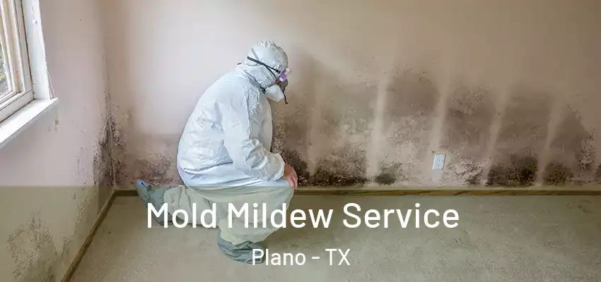  Mold Mildew Service Plano - TX