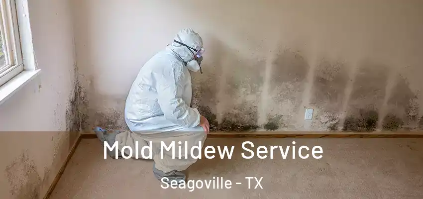 Mold Mildew Service Seagoville - TX