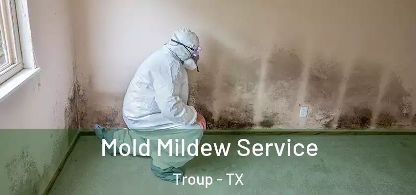 Mold Mildew Service Troup - TX