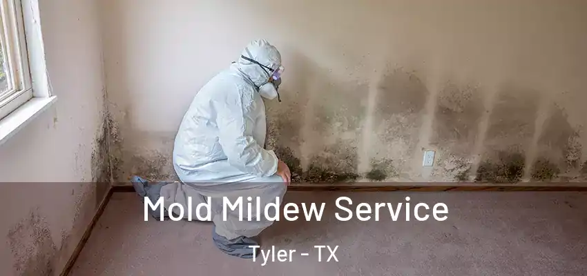 Mold Mildew Service Tyler - TX
