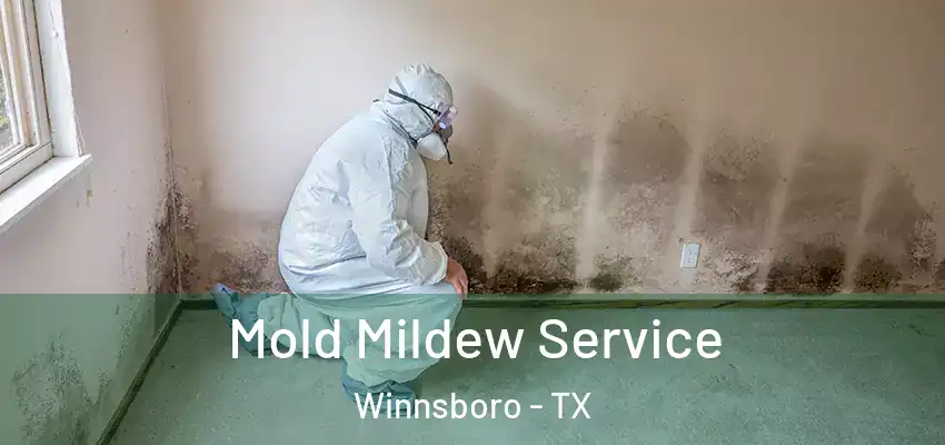  Mold Mildew Service Winnsboro - TX