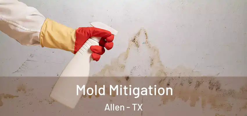 Mold Mitigation Allen - TX