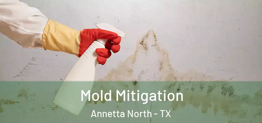 Mold Mitigation Annetta North - TX