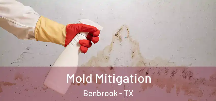  Mold Mitigation Benbrook - TX