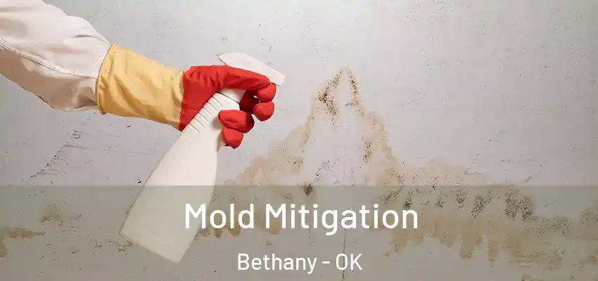  Mold Mitigation Bethany - OK