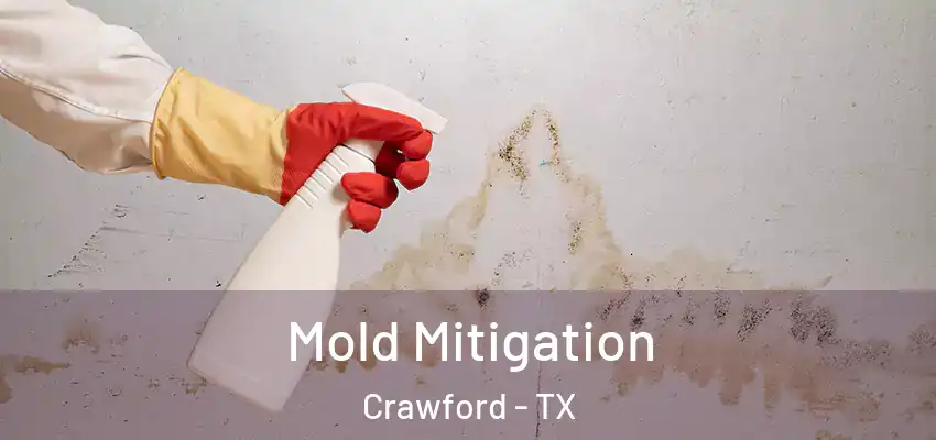 Mold Mitigation Crawford - TX