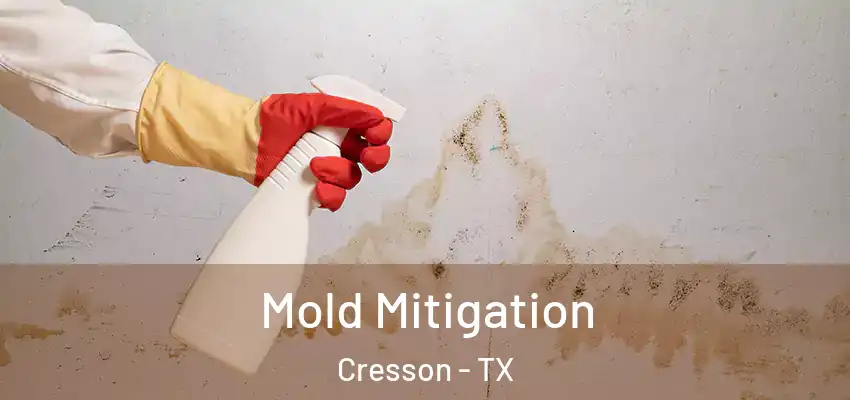 Mold Mitigation Cresson - TX