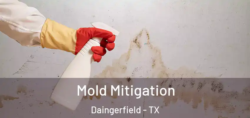  Mold Mitigation Daingerfield - TX