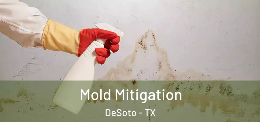  Mold Mitigation DeSoto - TX