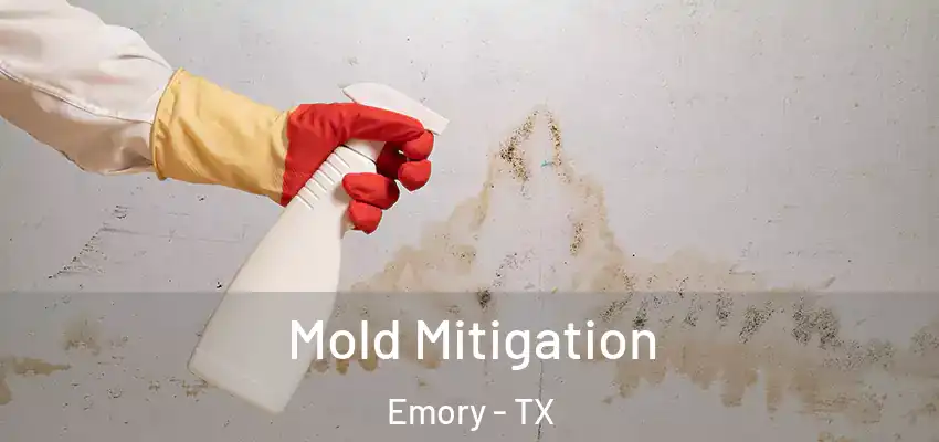 Mold Mitigation Emory - TX