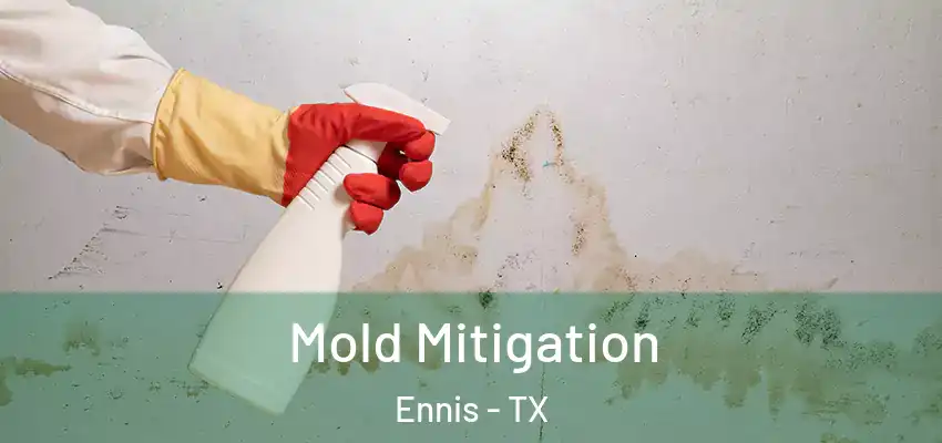 Mold Mitigation Ennis - TX