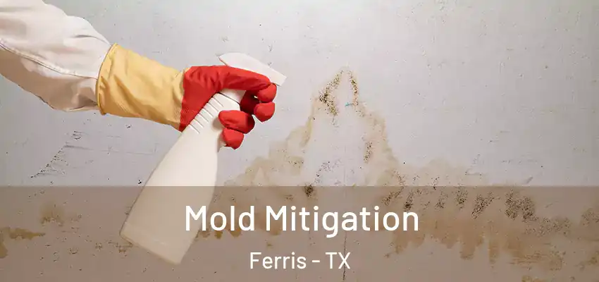 Mold Mitigation Ferris - TX