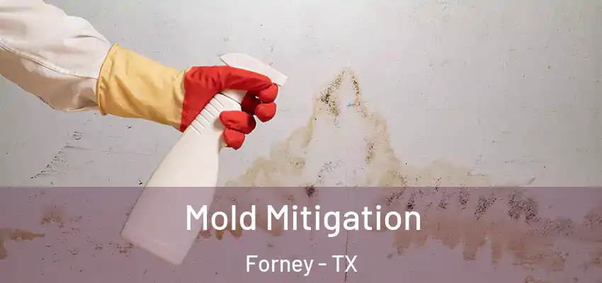 Mold Mitigation Forney - TX