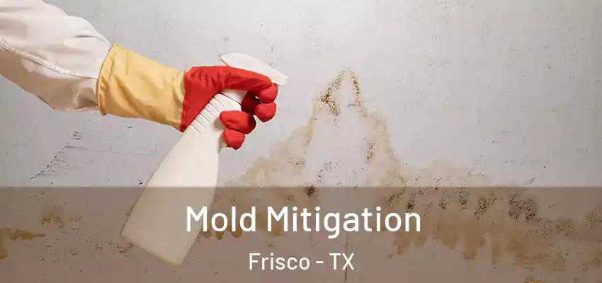  Mold Mitigation Frisco - TX