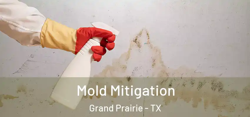 Mold Mitigation Grand Prairie - TX