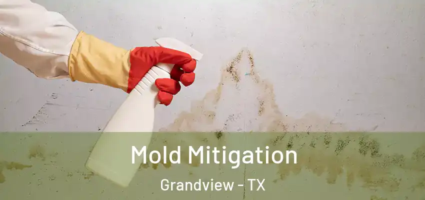 Mold Mitigation Grandview - TX
