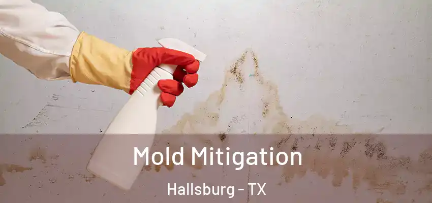 Mold Mitigation Hallsburg - TX