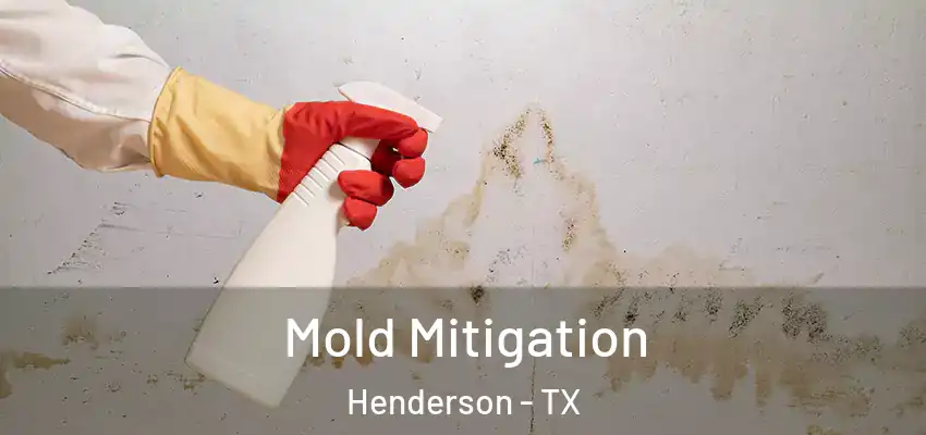 Mold Mitigation Henderson - TX
