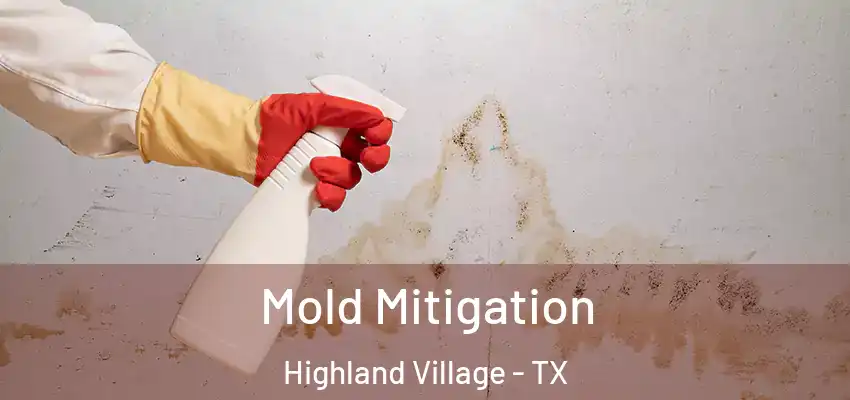  Mold Mitigation Highland Village - TX