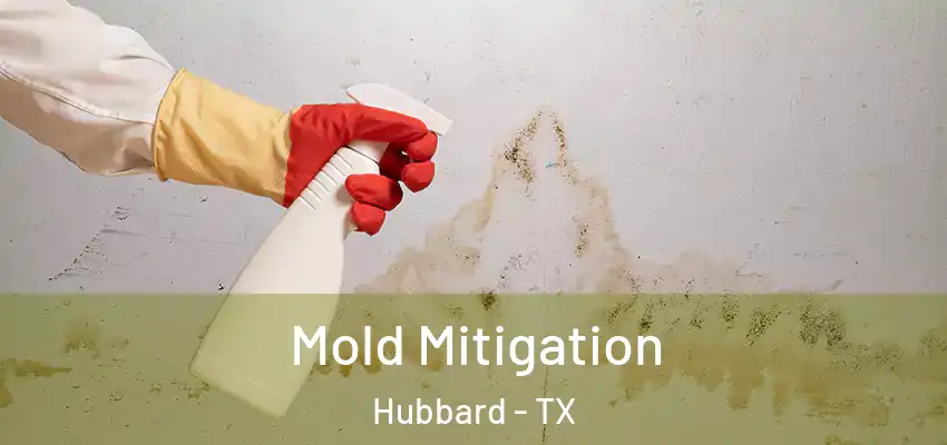 Mold Mitigation Hubbard - TX