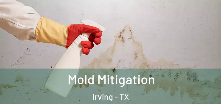 Mold Mitigation Irving - TX