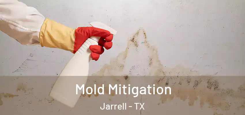 Mold Mitigation Jarrell - TX