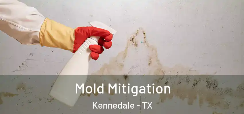 Mold Mitigation Kennedale - TX