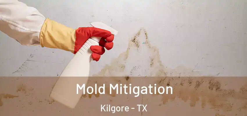 Mold Mitigation Kilgore - TX