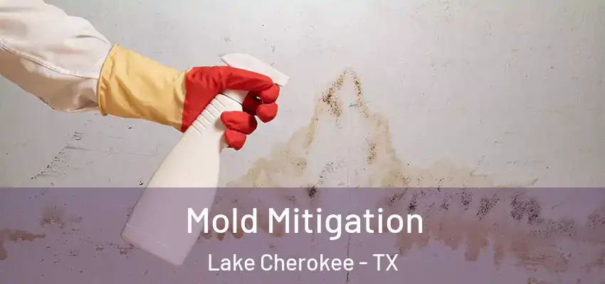 Mold Mitigation Lake Cherokee - TX
