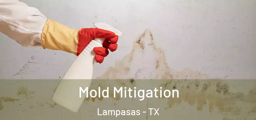  Mold Mitigation Lampasas - TX