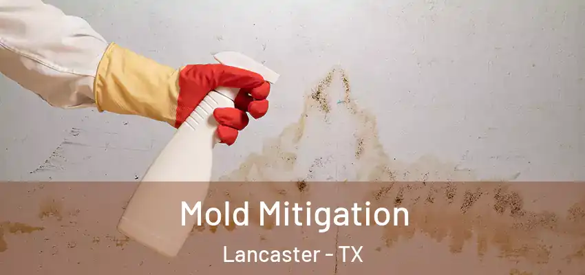 Mold Mitigation Lancaster - TX