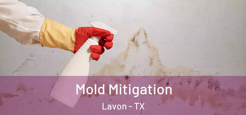 Mold Mitigation Lavon - TX