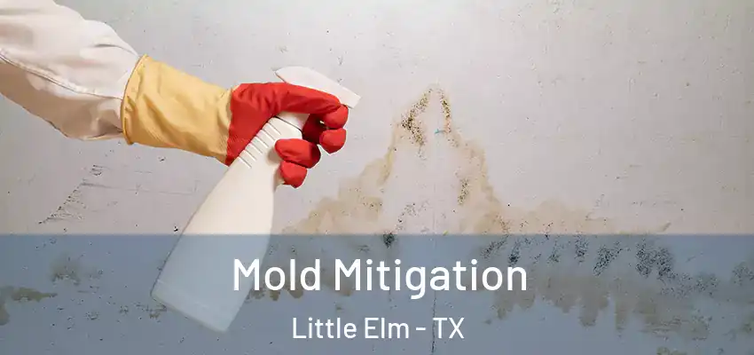 Mold Mitigation Little Elm - TX