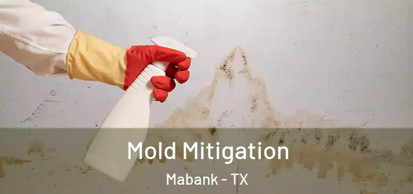 Mold Mitigation Mabank - TX
