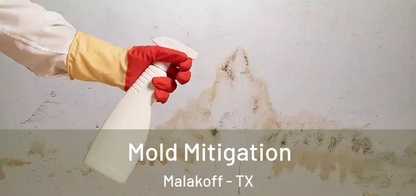 Mold Mitigation Malakoff - TX